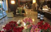 Туры в отель Hotel Corallo
