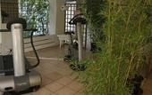 Туры в отель Hotel Corallo