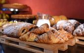 Туры в отель Hotel Rioverde