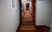 Туры в отель Hotel Rioverde