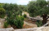 Туры в отель Masseria Ruri Pulcra