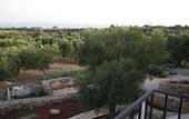 Туры в отель Masseria Ruri Pulcra
