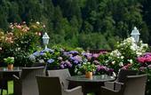 Туры в отель Saltauserhof
