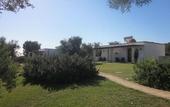 Туры в отель Hotel Resort Corte Di Ferro