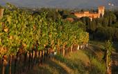 Туры в отель Castello di Spessa - Residenze d'Epoca