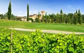 Туры в отель Castello di Spessa - Residenze d'Epoca