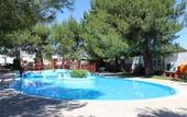 Туры в отель Holiday Residence