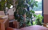Туры в отель Hotel Borghetti