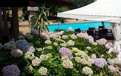 Туры в отель Hotel Le Mimose