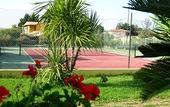 Туры в отель Hotel Le Mimose