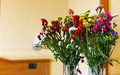 Туры в отель Vald Hotel