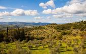 Туры в отель Podere Castellare