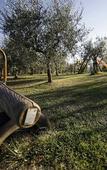 Туры в отель Agriturismo Sanguineto