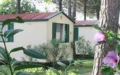 Туры в отель Villaggio Mithos