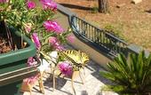 Туры в отель Villaggio Mithos