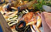 Туры в отель Tanit Hotel Ristorante Museo