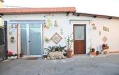 Туры в отель B&B Le Cycas
