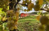 Туры в отель Agriturismo Borgo Imperiale