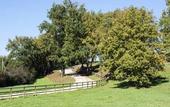 Туры в отель Agriturismo Borgo Imperiale