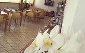 Туры в отель B&B Il Tempio di Hera