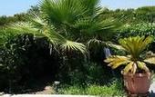 Туры в отель B&B Il Tempio di Hera