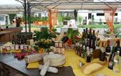 Туры в отель Gelindo dei Magredi Country Resort