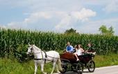 Туры в отель Gelindo dei Magredi Country Resort