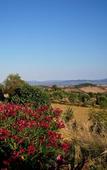 Туры в отель Tenuta Fattoria Vecchia