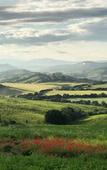 Туры в отель Tenuta Fattoria Vecchia