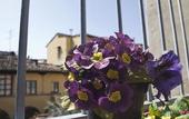 Туры в отель Hostel Santa Monaca
