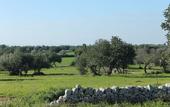 Туры в отель Le Chiuse di Guadagna