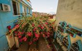 Туры в отель Eco Hostel Floreale