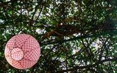 Туры в отель Eco Hostel Floreale