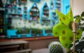 Туры в отель Eco Hostel Floreale