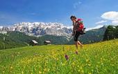 Туры в отель Artnatur Dolomites