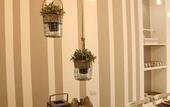 Туры в отель Dimi House