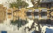 Туры в отель Masseria Le Mandorle
