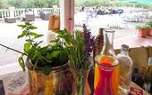 Туры в отель Locanda degli Ulivi