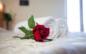 Туры в отель Hotel Ambassador