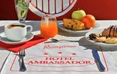 Туры в отель Hotel Ambassador