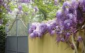 Туры в отель Duchess Boutique Hotel B&B