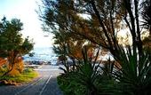 Туры в отель Hotel Puntaquattroventi