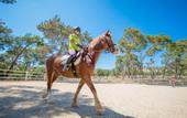 Туры в отель Aphrodite Hills Resort