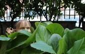 Туры в отель Hotel Giada