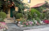 Туры в отель Aphrodite Inn