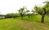 Туры в отель B&B Naturin - Vegan Eco Farm