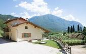Туры в отель Agritur Casteller