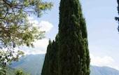 Туры в отель Agritur Casteller