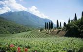 Туры в отель Agritur Casteller
