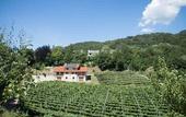Туры в отель Agritur Casteller